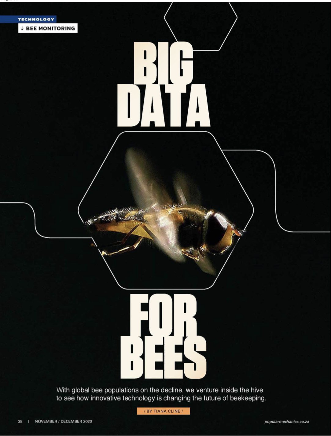 Big data for bees