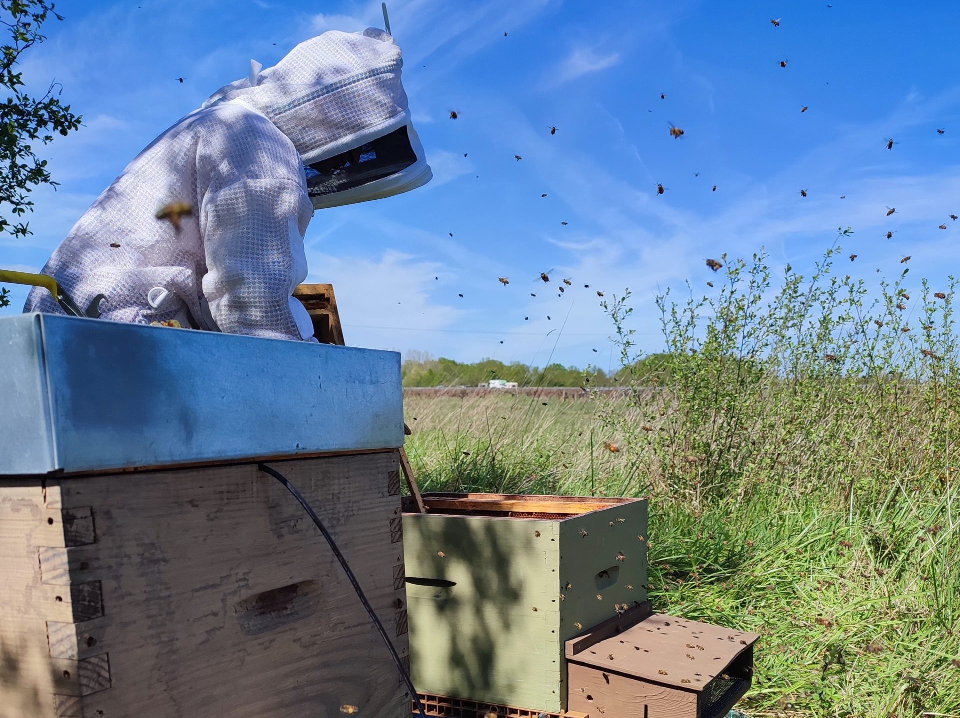 Harmonizing farmers, AI, and nature for a sustainable future (AI series, ep.4)