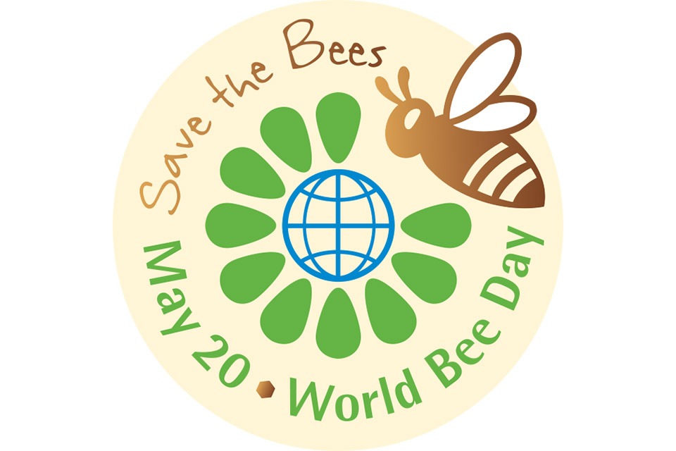 World Bee Day 2020