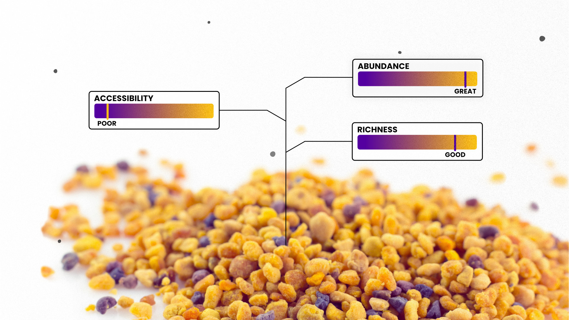 Measuring biodiversity through honey bee pollen intake colors